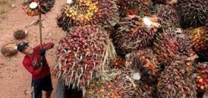 Corrida pelo biodiesel: preço cai abaixo do diesel comum pela primeira vez