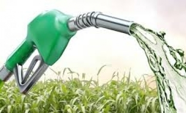 Etanol: Hidratado e anidro têm queda de 3,47% na semana nas usinas de SP