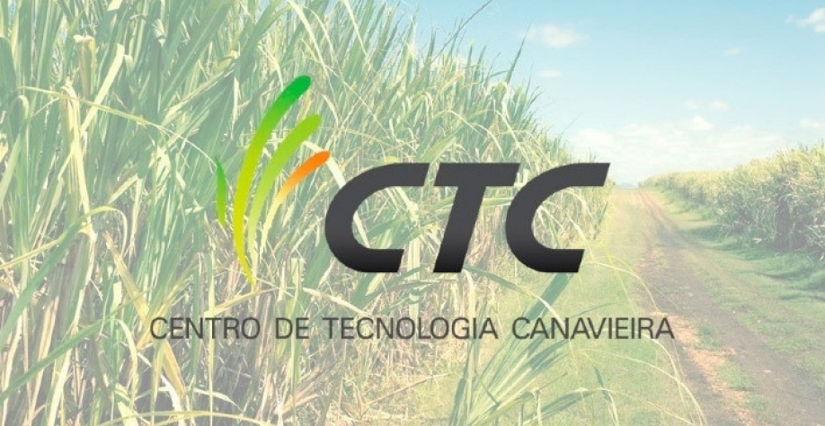 CTC inaugura unidade para produzir semente sintética de cana em SP