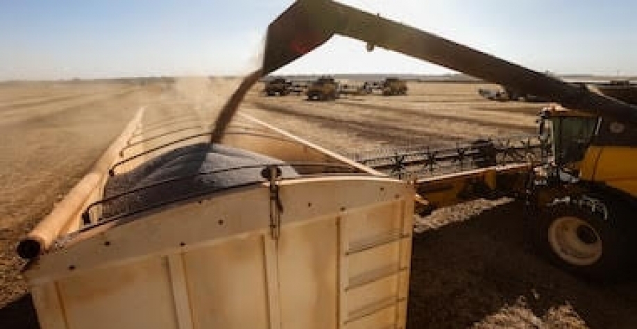 Fertilizantes: Caminhos para reduzir a vulnerabilidade do agro brasileiro