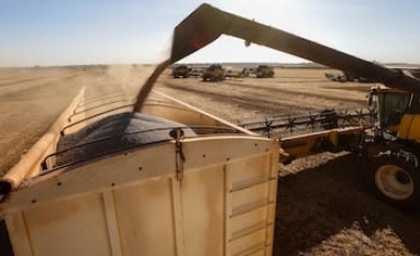 Fertilizantes: Caminhos para reduzir a vulnerabilidade do agro brasileiro