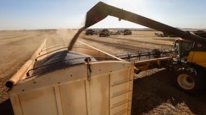 Fertilizantes: Caminhos para reduzir a vulnerabilidade do agro brasileiro