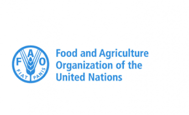 Ormuz pode se transformar em catástrofe para o sistema agroalimentar global