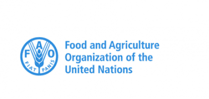 Ormuz pode se transformar em catástrofe para o sistema agroalimentar global