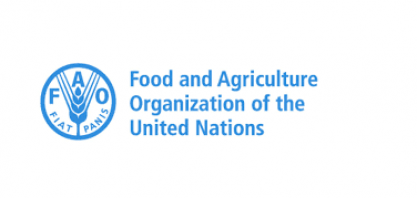 FAO diz que conflito eleva preços internacionais dos alimentos
