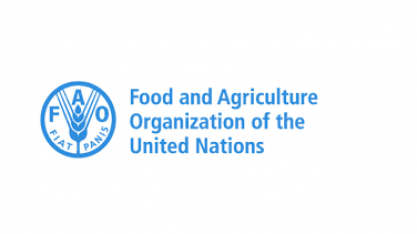 FAO diz que conflito eleva preços internacionais dos alimentos