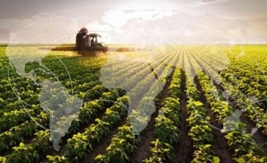 Conflito geopolítico chega aos preços dos produtos agropecuários no atacado