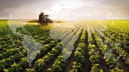 Conflito geopolítico chega aos preços dos produtos agropecuários no atacado