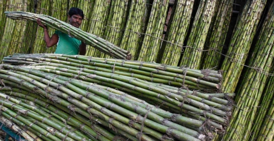 Índia: Agricultores temem que novas usinas de etanol limitem acesso a água