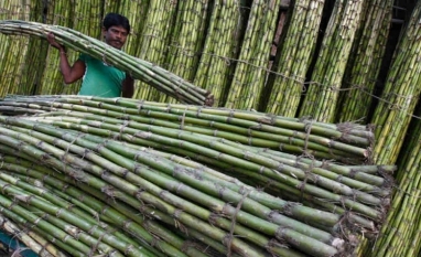 Índia: Agricultores temem que novas usinas de etanol limitem acesso a água