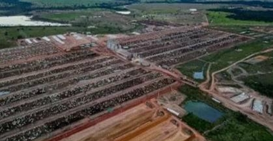 Júnior Friboi compra uma das maiores fazendas de confinamento do Brasil