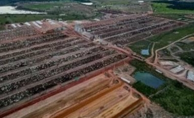 Júnior Friboi compra uma das maiores fazendas de confinamento do Brasil