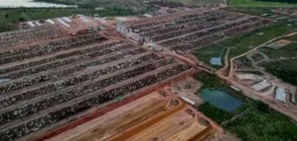 Júnior Friboi compra uma das maiores fazendas de confinamento do Brasil