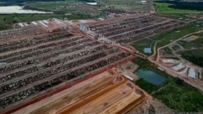 Júnior Friboi compra uma das maiores fazendas de confinamento do Brasil