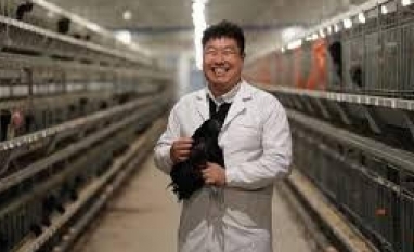 De importadora do Brasil, China passa a ser concorrente na carne