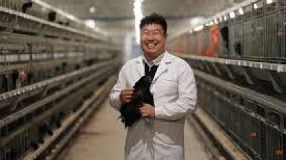 De importadora do Brasil, China passa a ser concorrente na carne