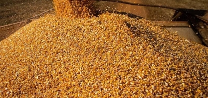Preços ao produtor agropecuário caíram quase 10% no primeiro trimestre