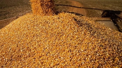 Preços ao produtor agropecuário caíram quase 10% no primeiro trimestre