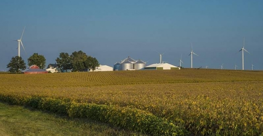 Produtor dos EUA deve plantar mais soja na safra 2026/27, diz USDA