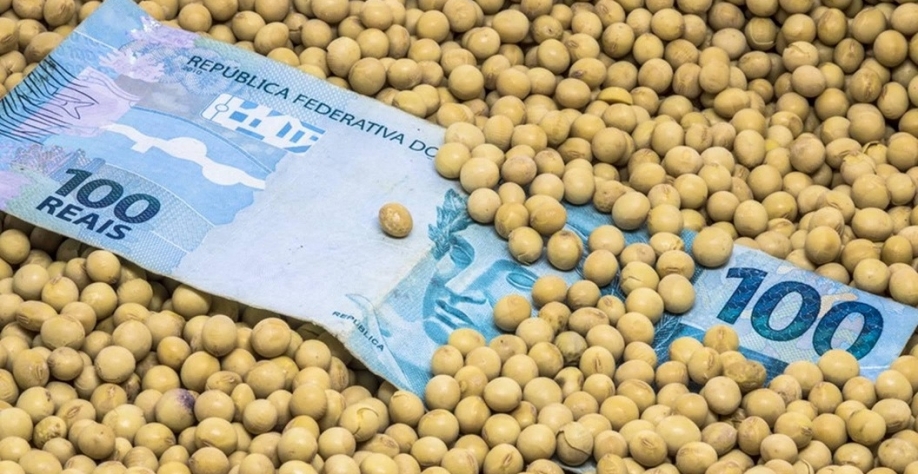 Por que uma decisão sobre biocombustíveis está mexendo com o agro global