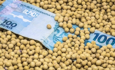 Por que uma decisão sobre biocombustíveis está mexendo com o agro global