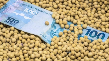 Por que uma decisão sobre biocombustíveis está mexendo com o agro global