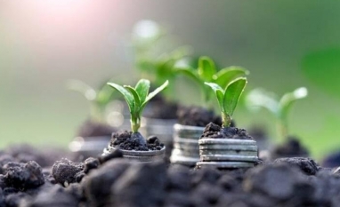 Setor de bioinsumos alcançou R$ 6,2 bilhões em valor de mercado em 2025