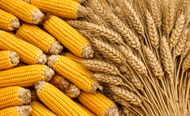 Março termina com volume recorde de exportação de soja e milho