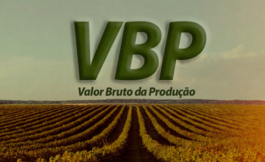 Mesmo com safra recorde, valor da produção agropecuária cai 