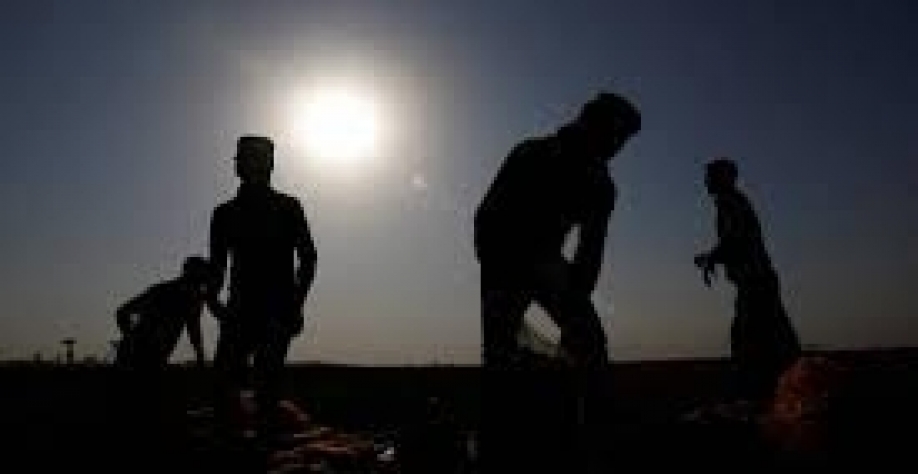 Calor extremo ameaça agricultura global, alertam agências da ONU