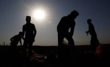 Calor extremo ameaça agricultura global, alertam agências da ONU