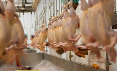 Exportações de carne de frango ao Oriente Médio caíram em março