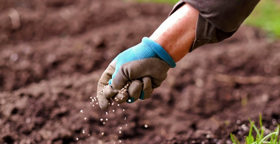 Efeito da guerra sobre fertilizantes preocupa países da América