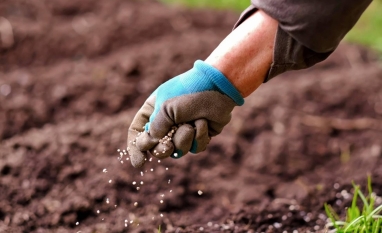 Efeito da guerra sobre fertilizantes preocupa países da América