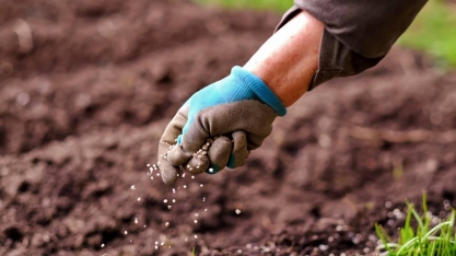 Efeito da guerra sobre fertilizantes preocupa países da América