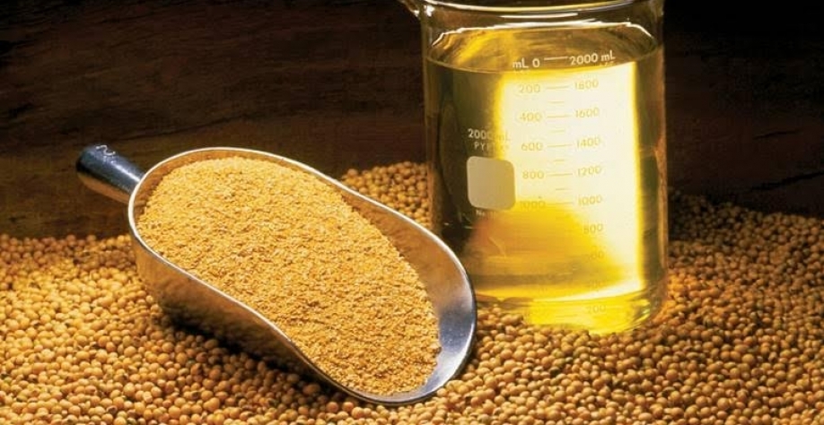 Processamento de soja no Brasil deve bater recorde em 2026