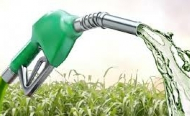 Etanol: Hidratado cai 7,01% e anidro 7,43% na semana nas usinas de SP