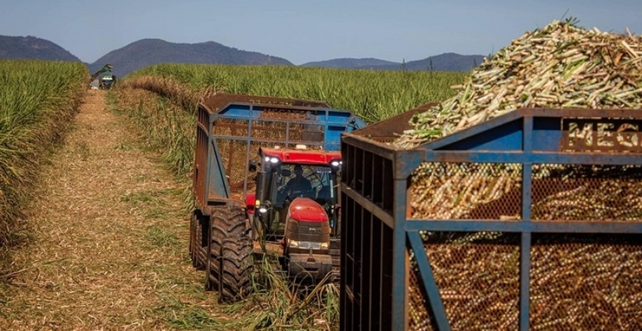 Preços do açúcar sobem no Brasil, enquanto etanol mostra estabilidade