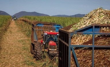 Preços do açúcar sobem no Brasil, enquanto etanol mostra estabilidade