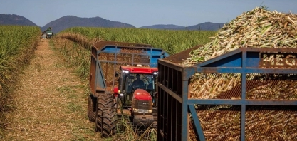 Preços do açúcar sobem no Brasil, enquanto etanol mostra estabilidade