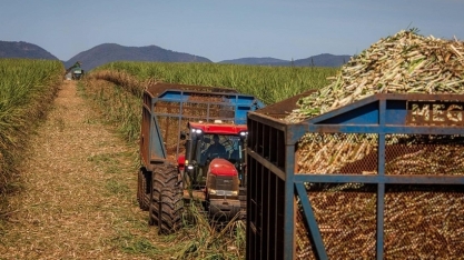 Preços do açúcar sobem no Brasil, enquanto etanol mostra estabilidade