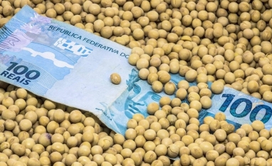 Plano Safra ainda tem 62% de crédito rural equalizado para agro empresarial