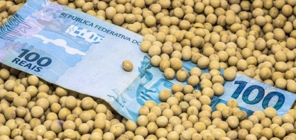 Plano Safra ainda tem 62% de crédito rural equalizado para agro empresarial