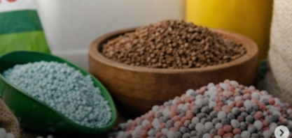 Crise dos fertilizantes: A vulnerabilidade que criamos