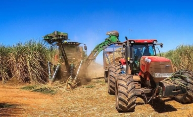 Safra de cana deve crescer 5,3% em 2026/27, para 709 milhões de toneladas