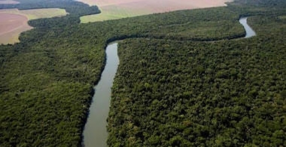 O Brasil não precisa de mais terra. Precisa de mais inteligência