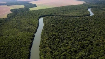 O Brasil não precisa de mais terra. Precisa de mais inteligência