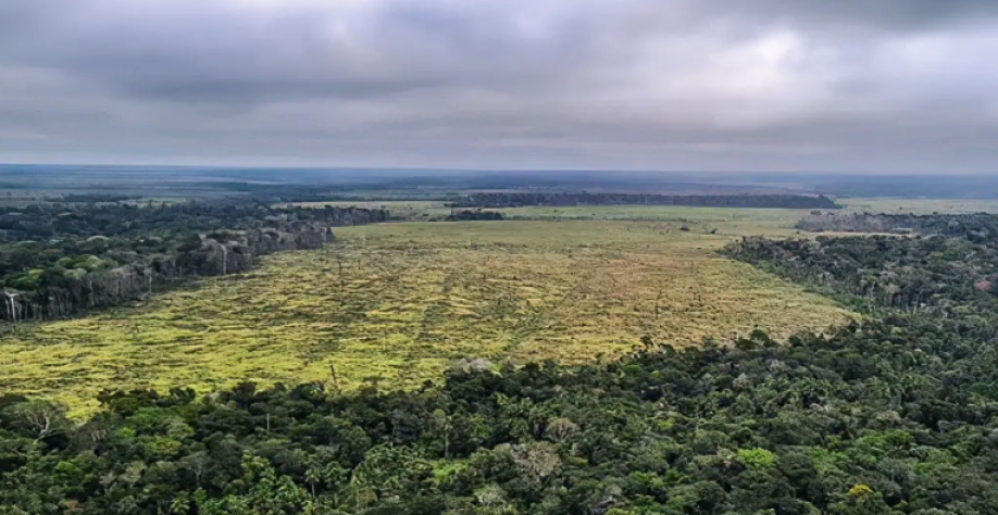 Crédito rural para desmates dentro da lei gera embate entre agro e governo