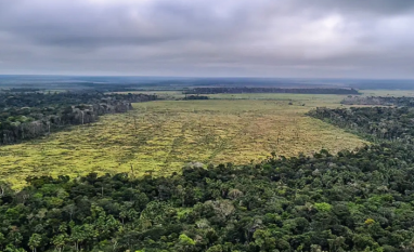 Crédito rural para desmates dentro da lei gera embate entre agro e governo