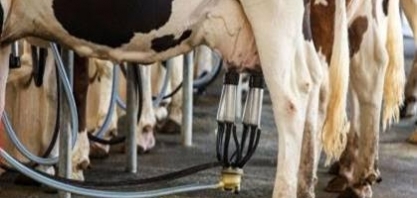Governo anuncia pacote para impulsionar produção de leite